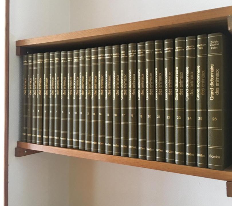 Photo of Bedroom in Louze