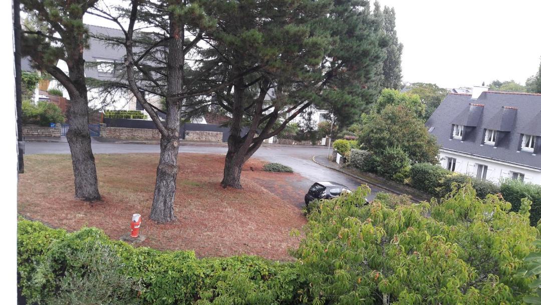 Photo of Others in Vannes