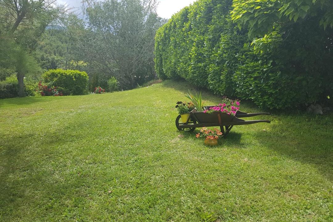 Photo of Outdoor in Lazer