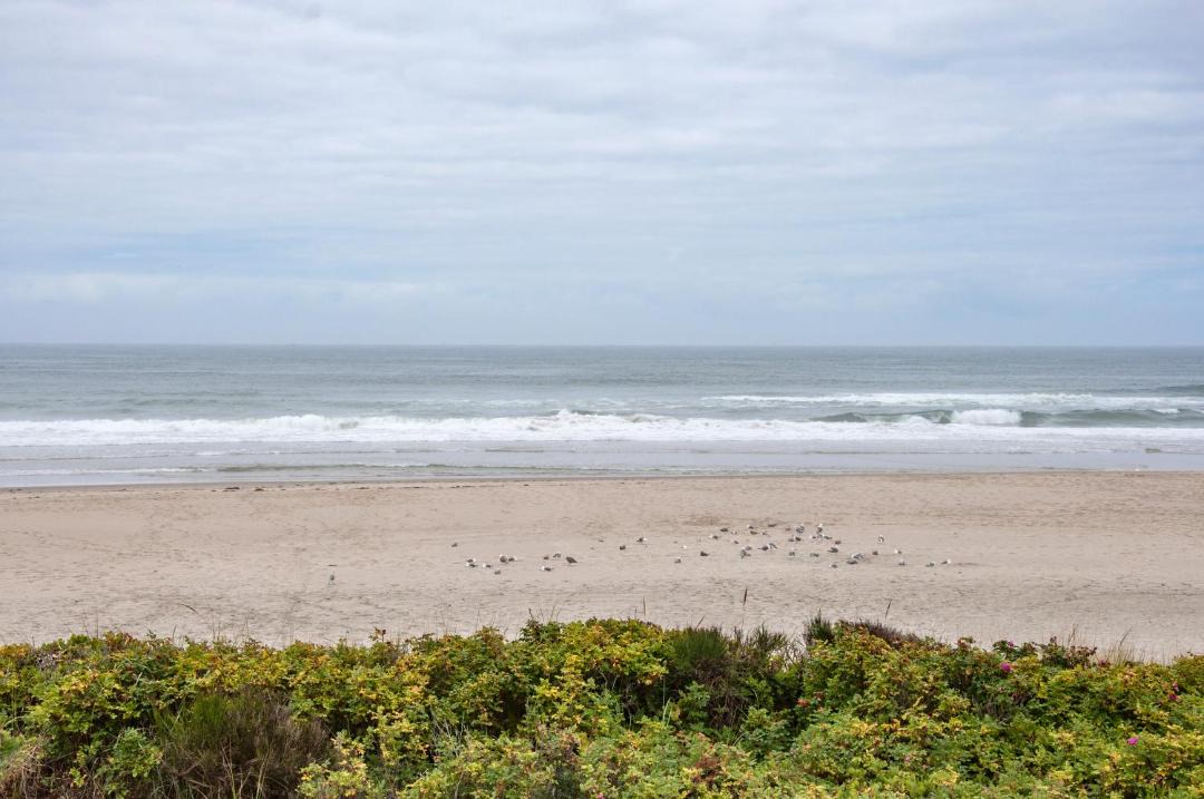 Photo of Outdoor in Tierra Del Mar