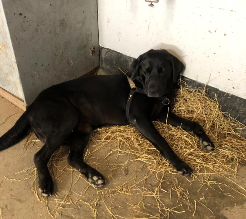 Photo of Others in Store Heddinge