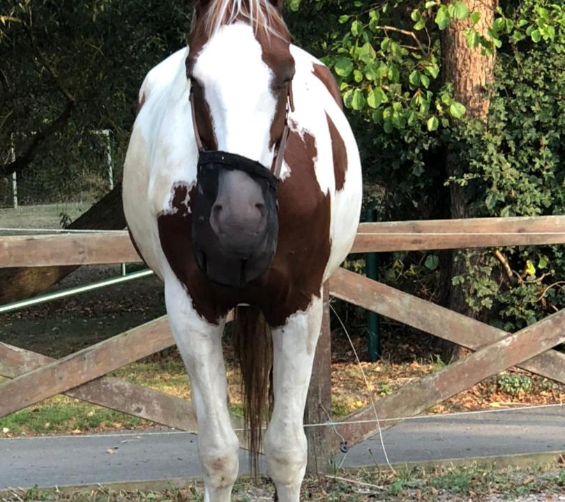 Photo of Others in Store Heddinge