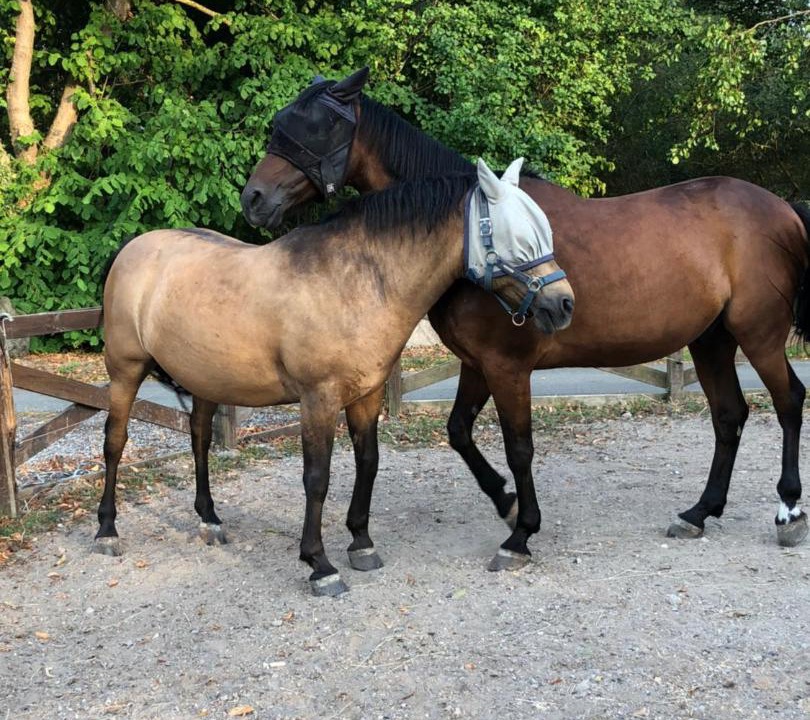 Photo of Others in Store Heddinge