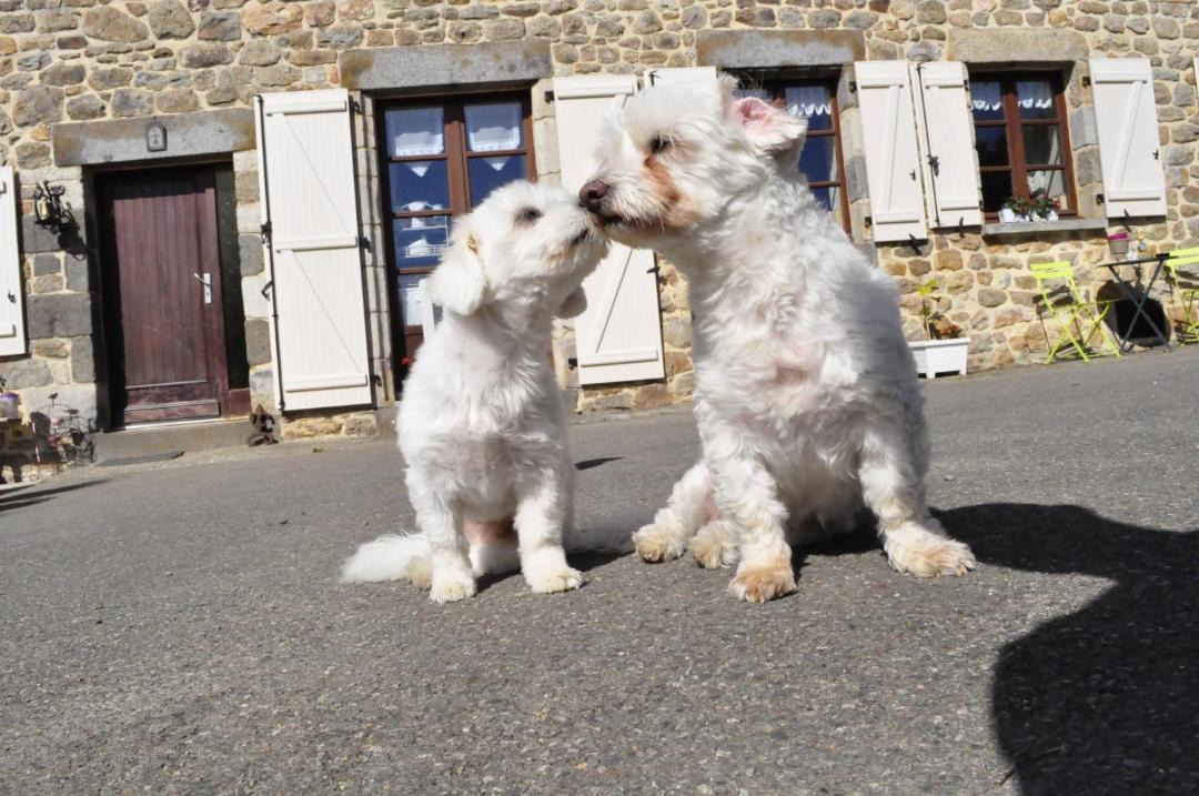 Photo of Others in Irodouer