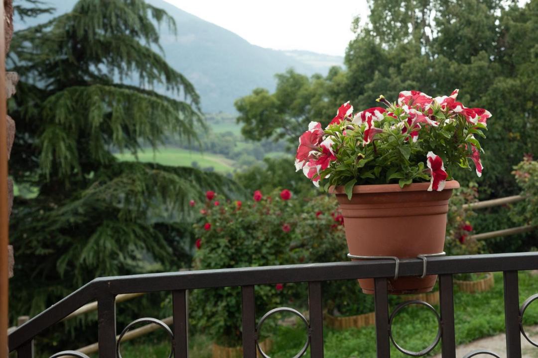 Photo of Patio Balcony in Llagunes