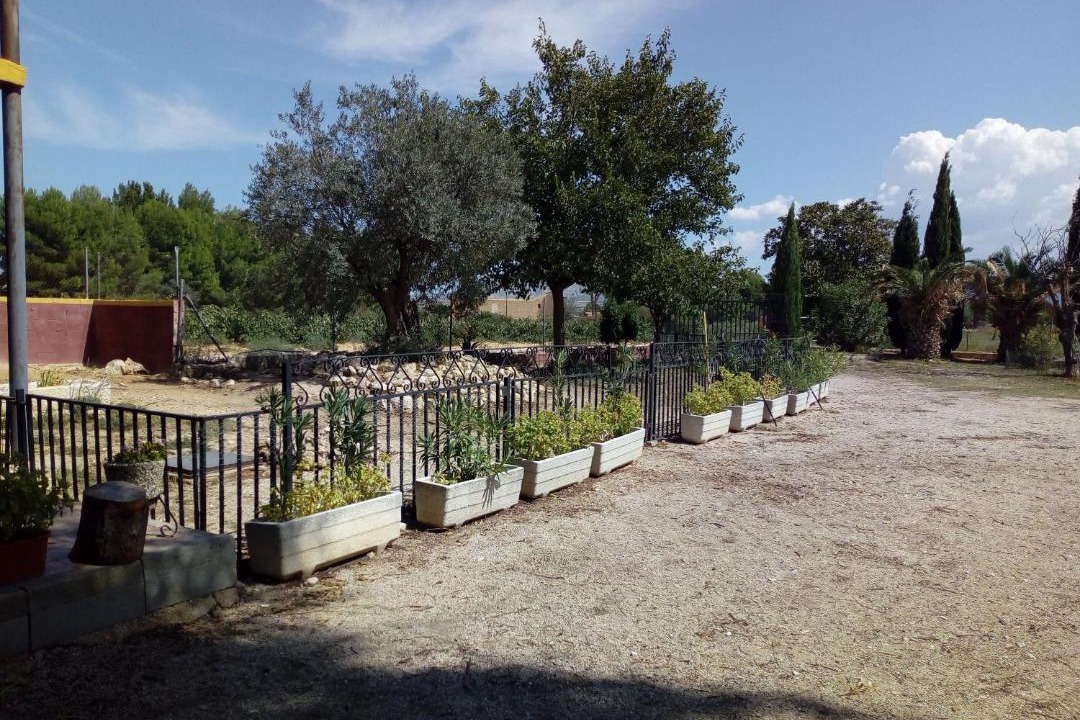 Photo of Others in Villena