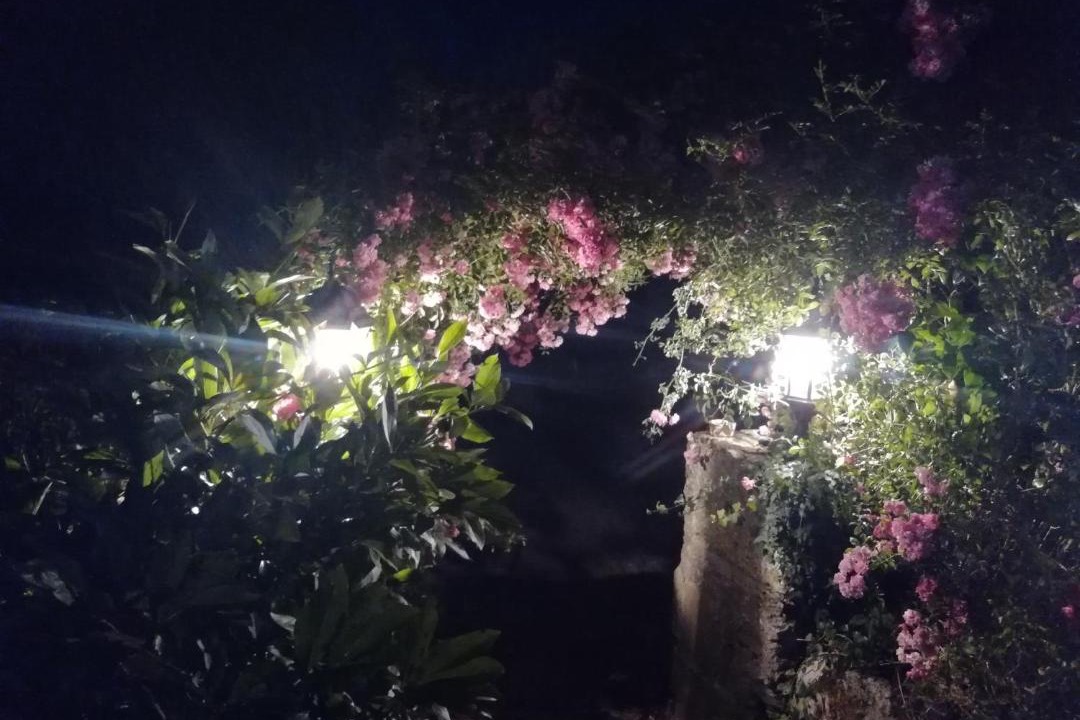 Photo of Others in Chalais