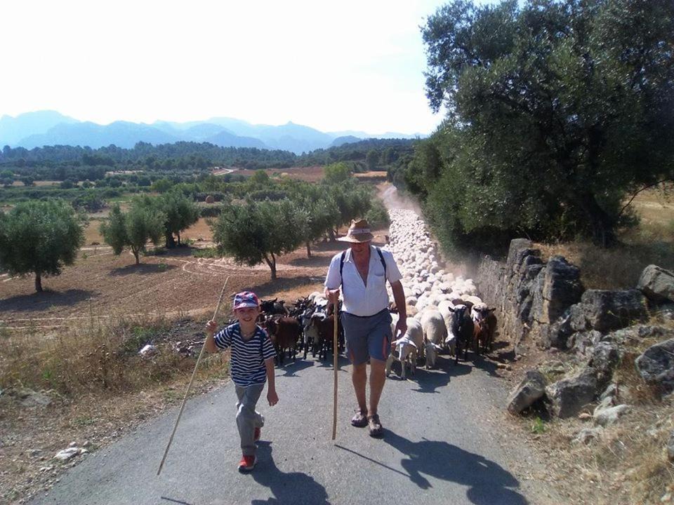 Photo of Others in Arnes
