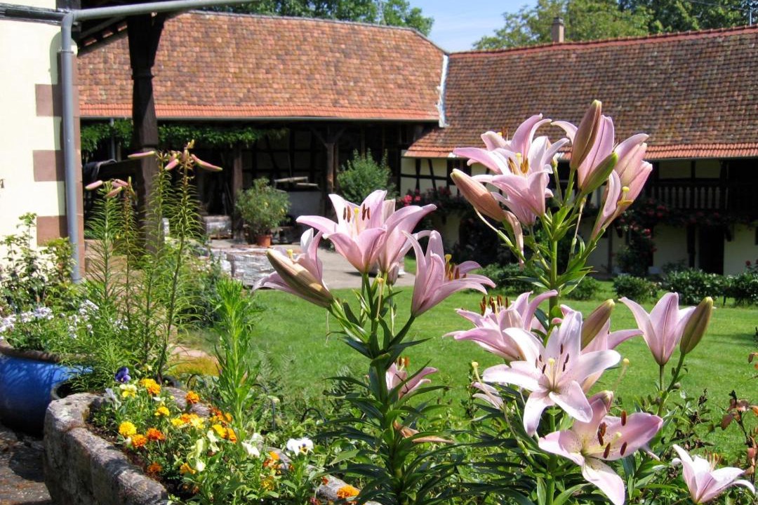 Photo of Others in Schalkendorf