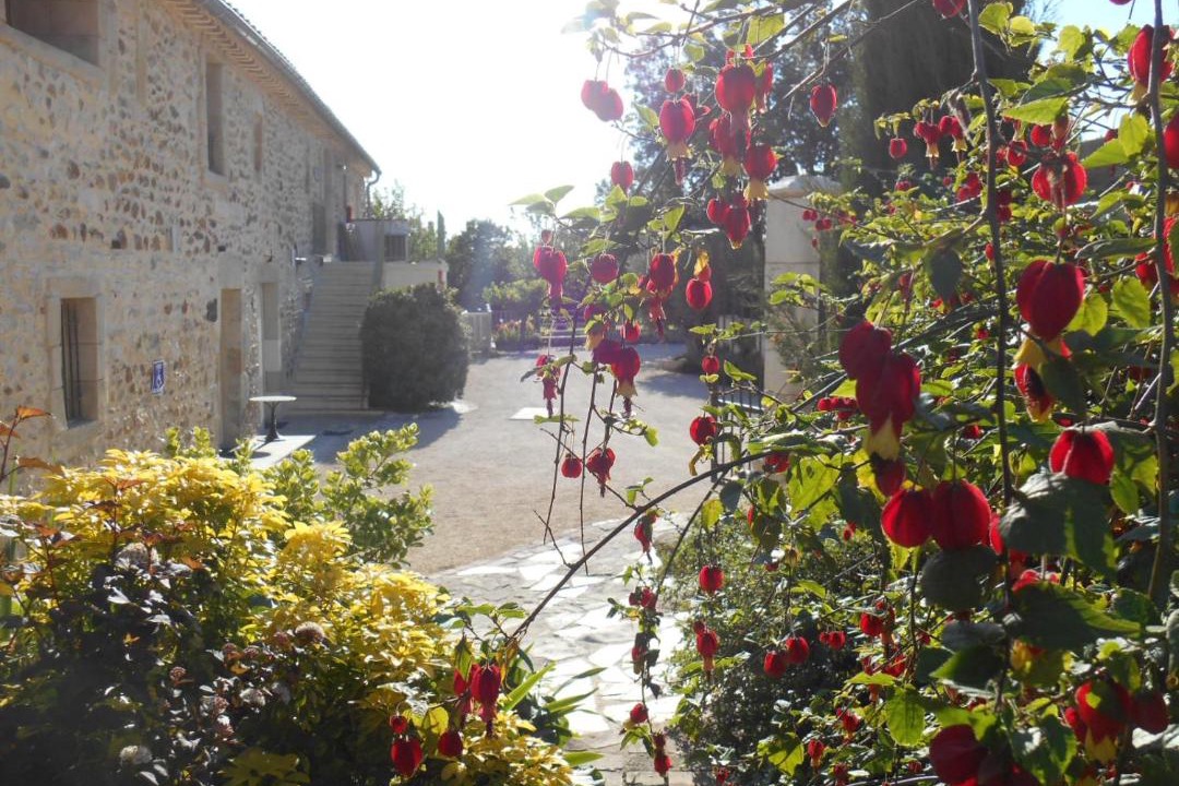 Photo of Buildings in Allegre Les Fumades