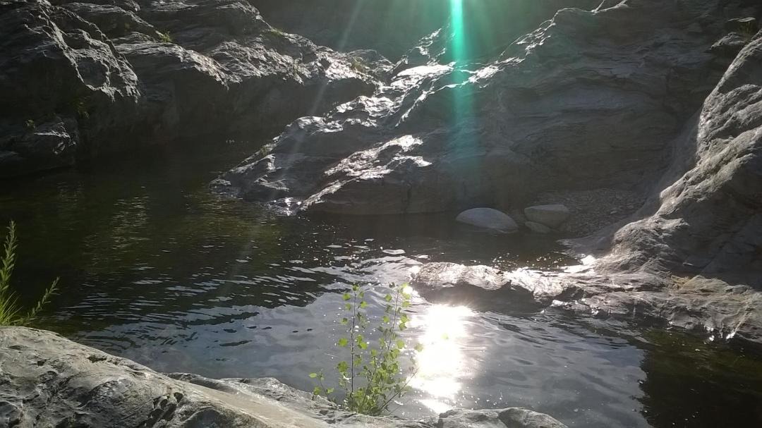 Photo of Others in Allegre Les Fumades