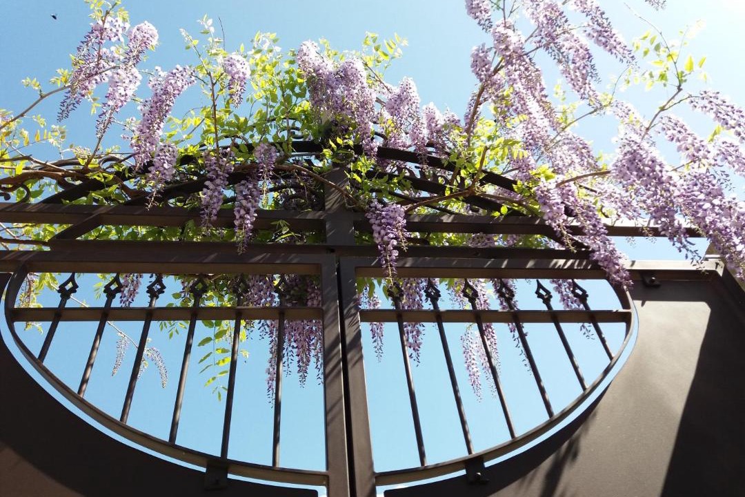 Photo of Others in Allegre Les Fumades