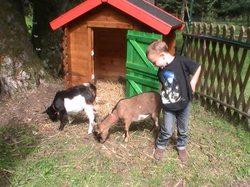 Photo of Others in Dabo