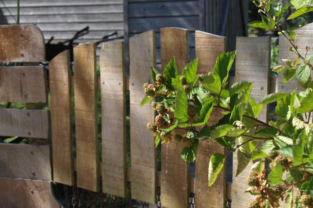 Photo of Others in Plabennec