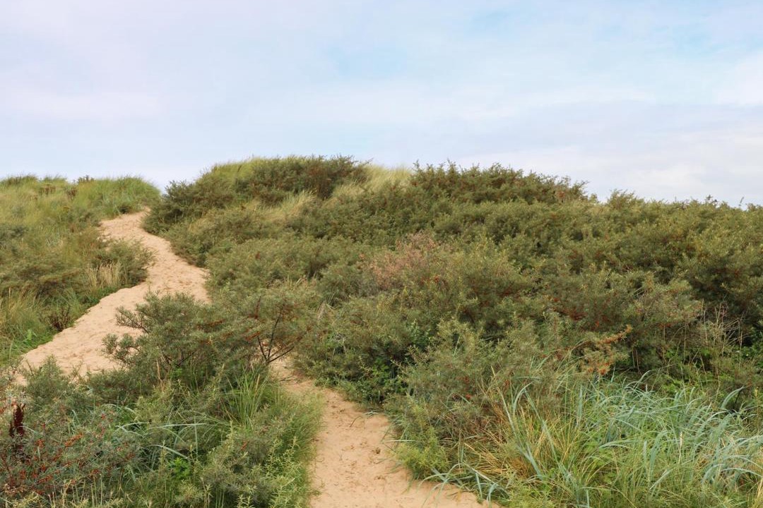 Photo of Outdoor in Southport