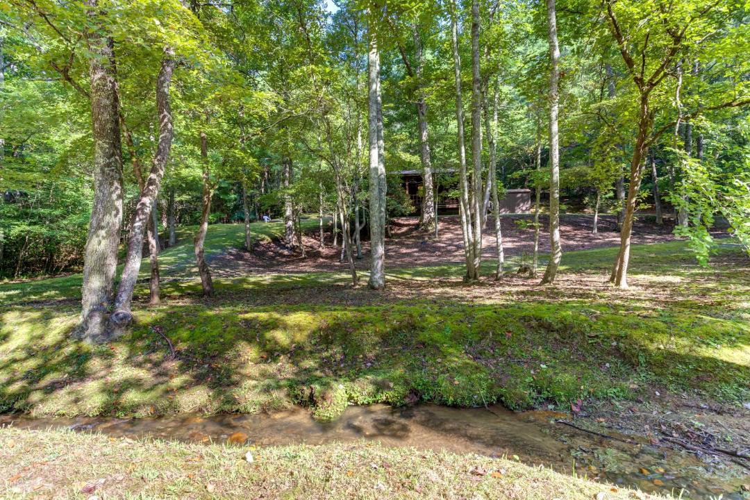 Photo of Others in Mineral Bluff