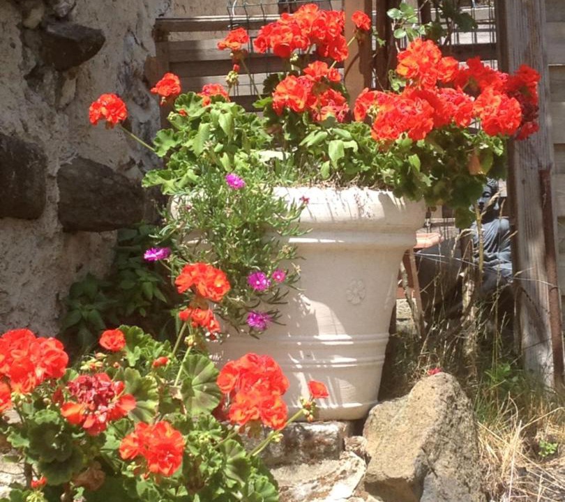 Photo of Others in Saint-Priest