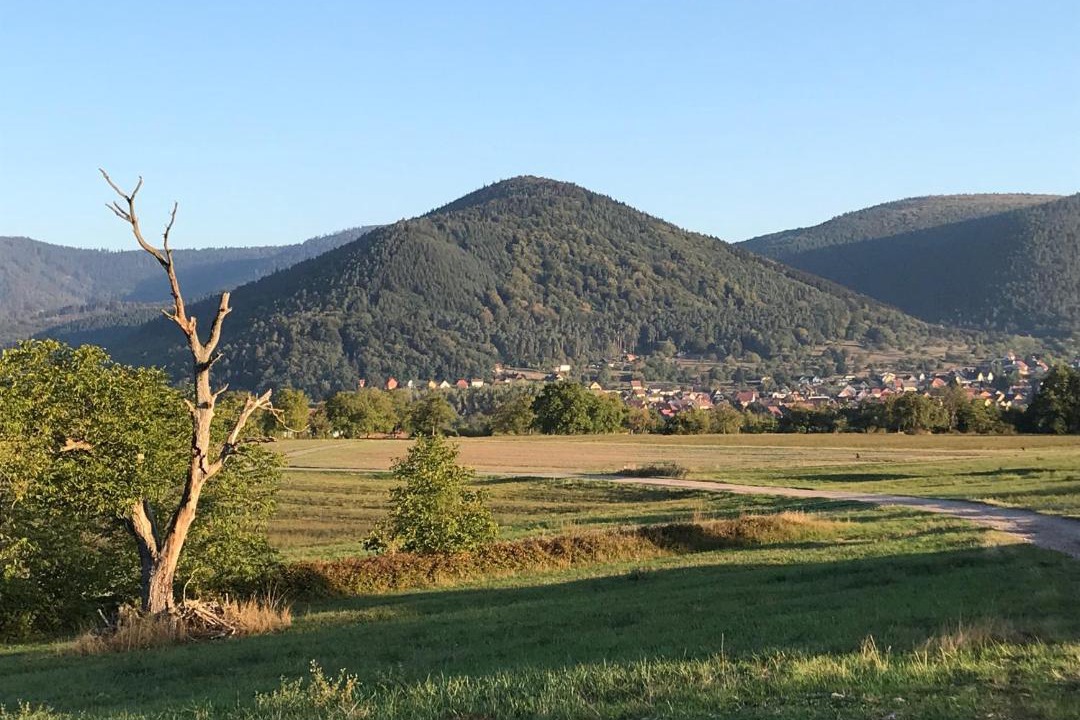 Photo of Others in Oberhaslach