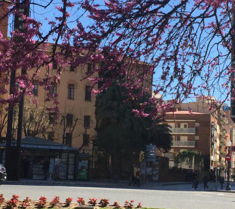 Photo of Others in Tarragona