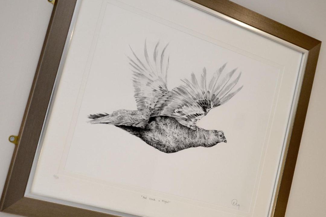 Photo of Others in Pickering