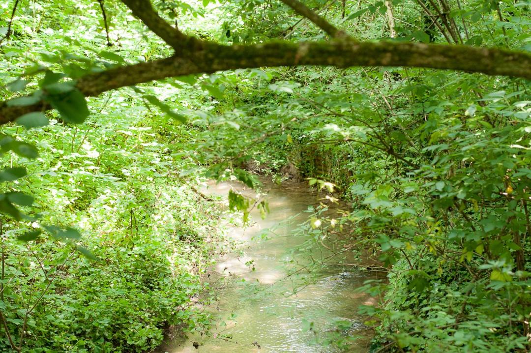 Photo of Others in Longueville