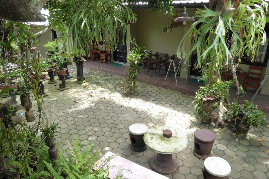 Photo of Others in Banyuwangi