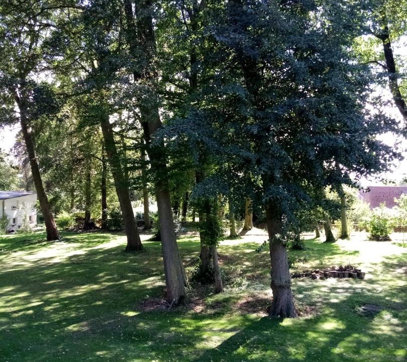 Photo of Outdoor in Oxelaere