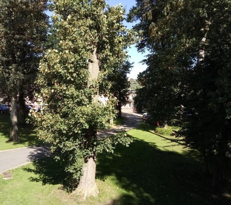 Photo of Others in Oxelaere