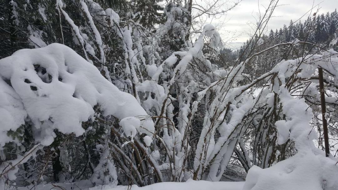 Photo of Others in Le Tholy