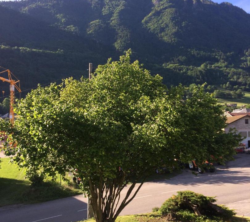 Photo of Outdoor in Mercury