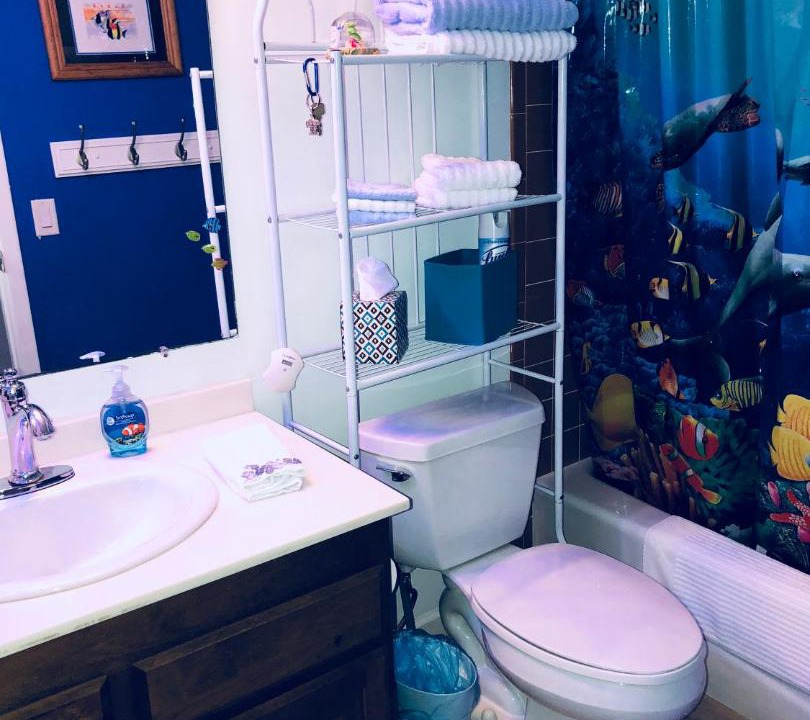 Photo of Others in Kahaluu Bay