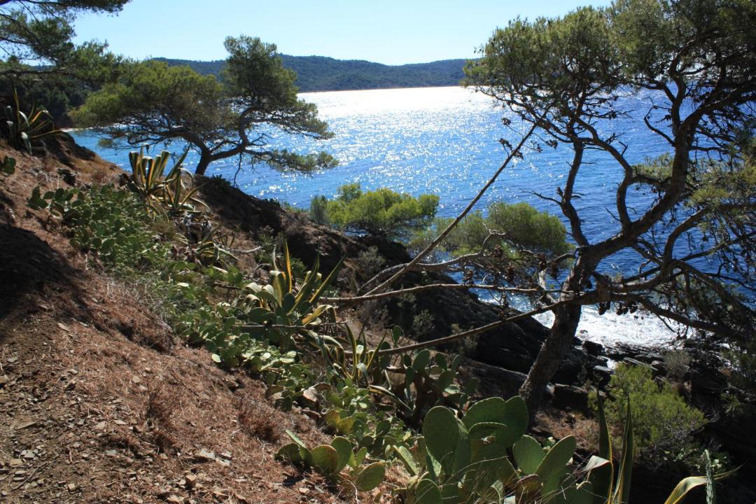 Photo of Others in La Croix-Valmer