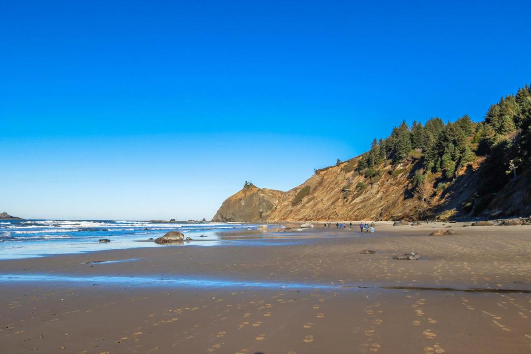 Photo of Others in Roads End