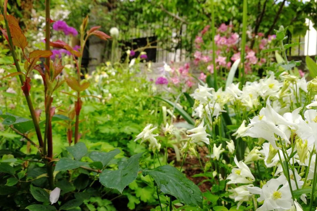 Photo of Others in Ginoles