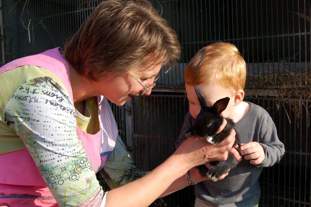 Photo of Others in Sailly-lez-Cambrai