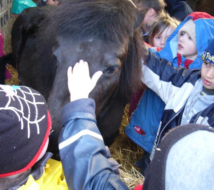 Photo of Others in Sailly-lez-Cambrai