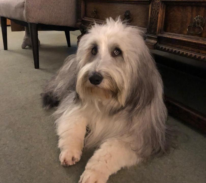 Photo of Others in Moreton