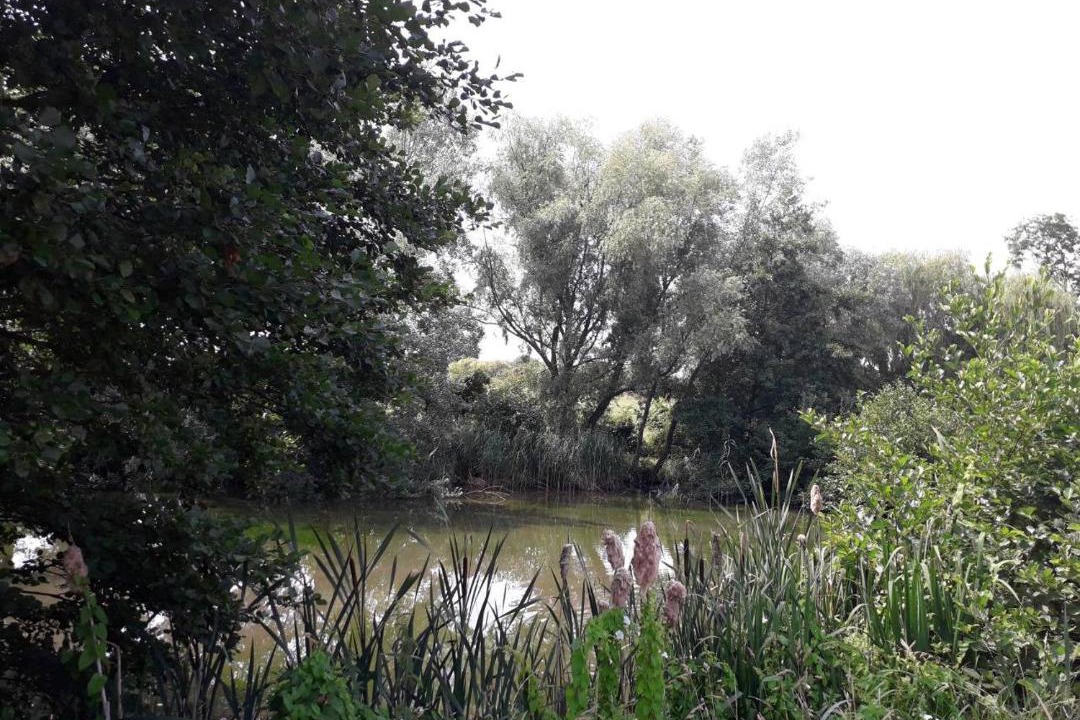 Photo of Outdoor in Moreton