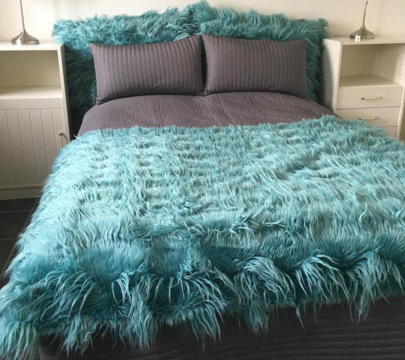 Photo of Others in Sollested