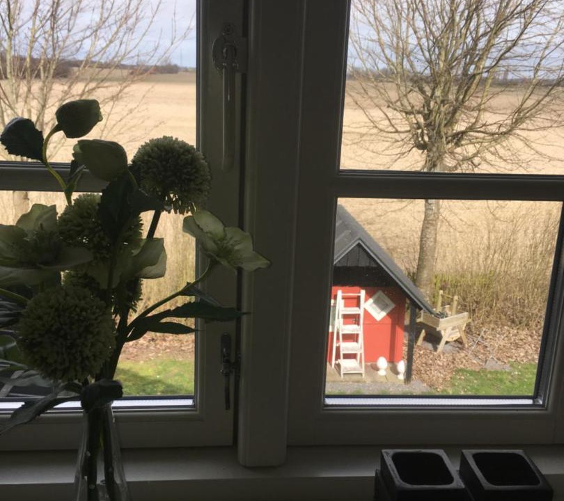 Photo of Others in Sollested