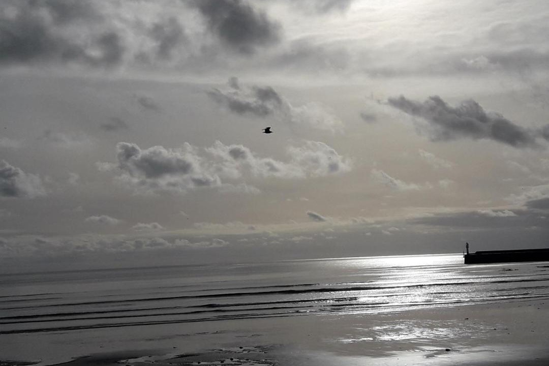 Photo of Others in St Ives