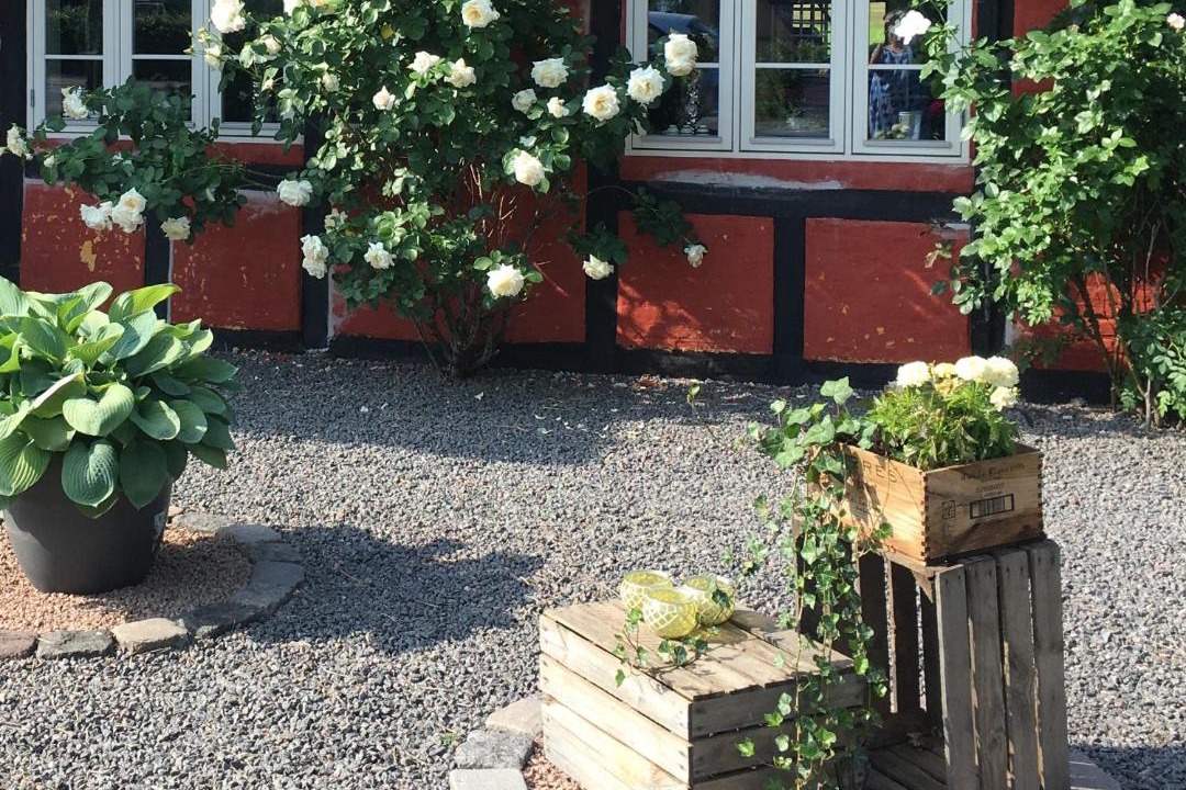 Photo of Others in Sollested