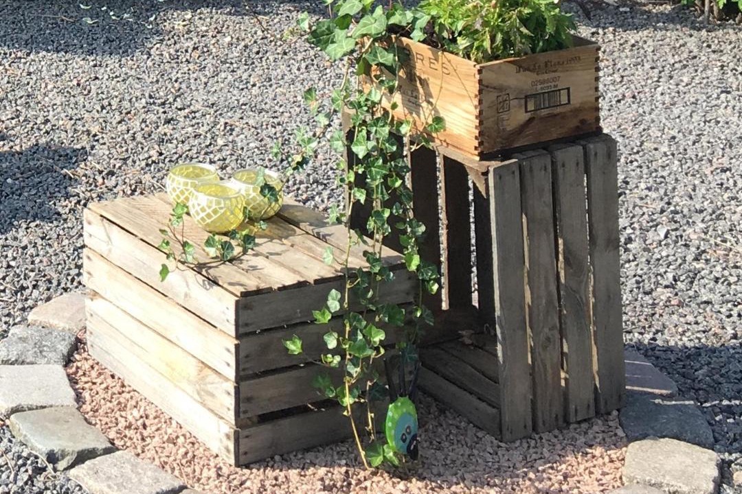 Photo of Others in Sollested