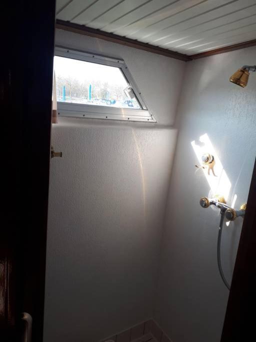 Photo of Others in Flace