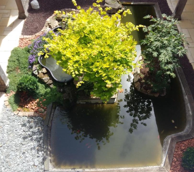 Photo of Others in Les Aubiers