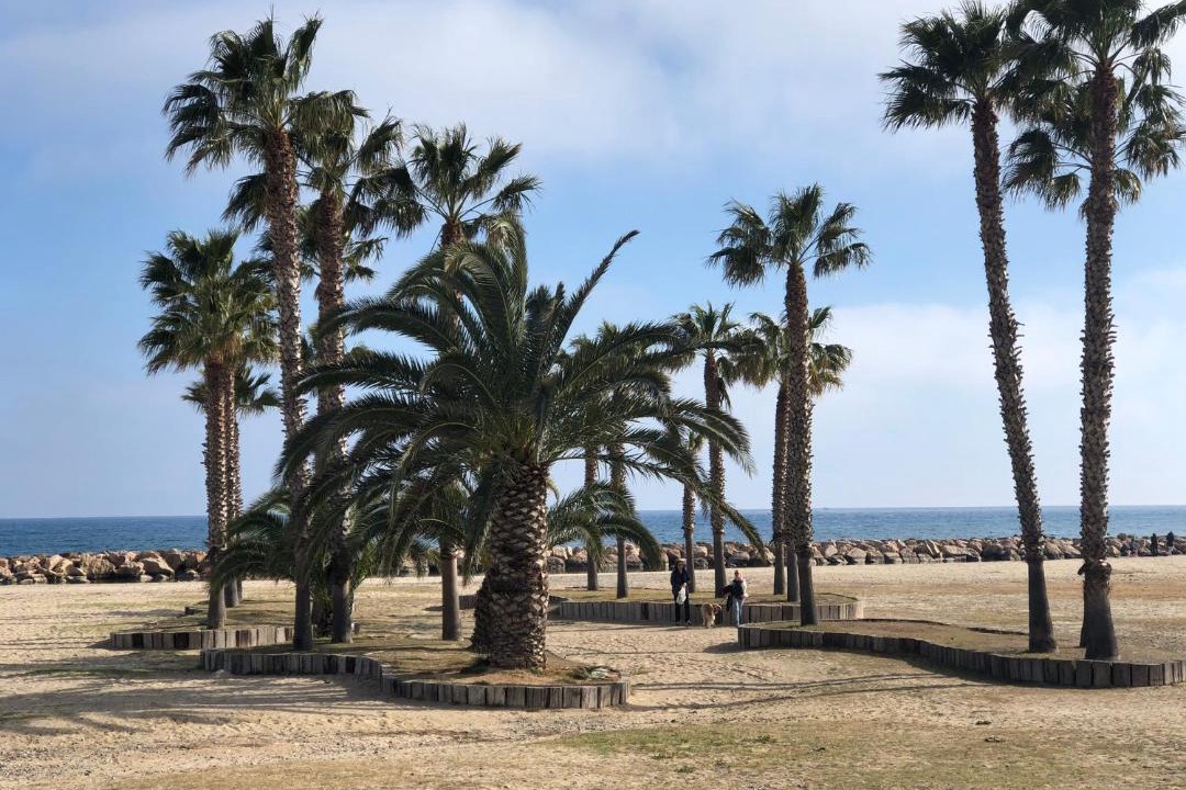 Photo of Outdoor in Cambrils