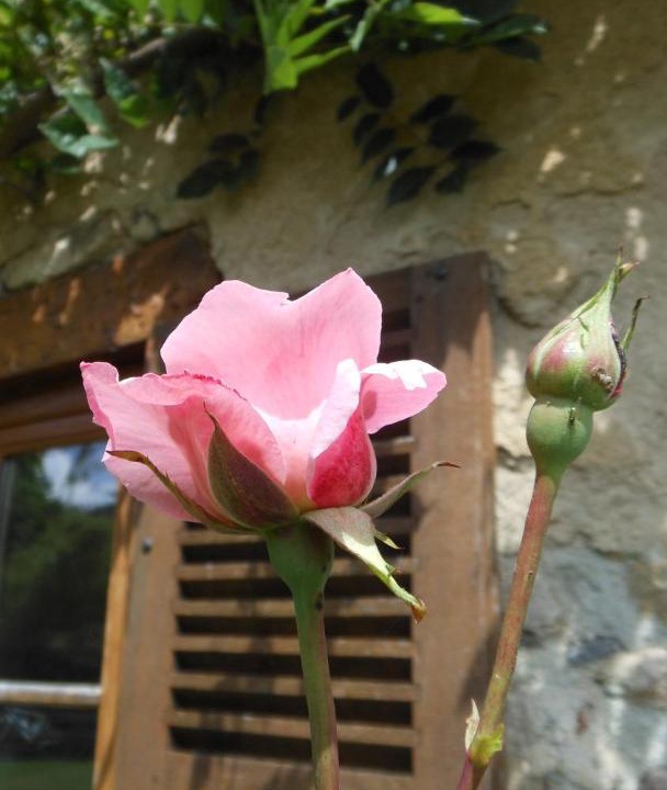 Photo of Others in Dore-lʼEglise
