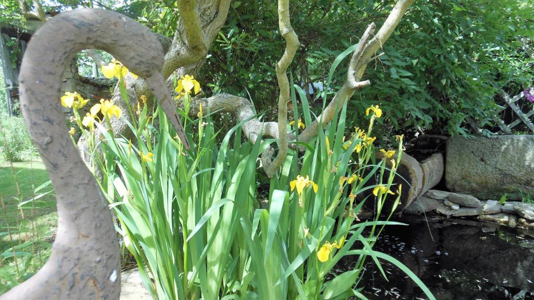 Photo of Others in Dore-lʼEglise