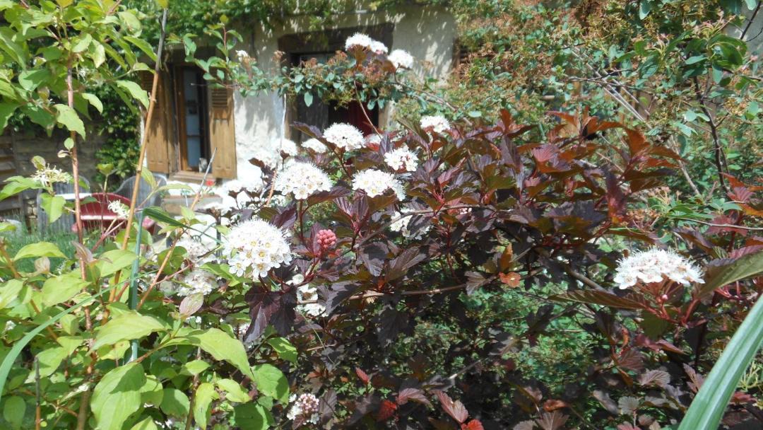 Photo of Others in Dore-lʼEglise