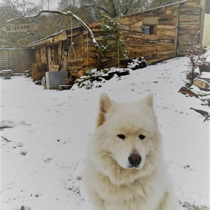 Photo of Others in Crepy-en-Valois